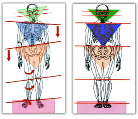 bio-activators and imbalance