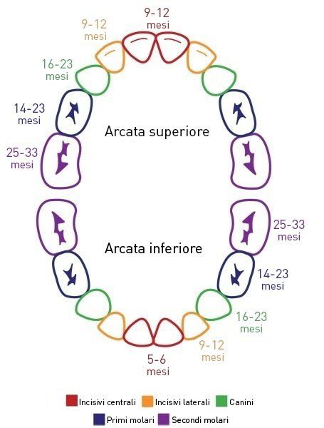 Dentizione e giochi morbidi per primi dentini